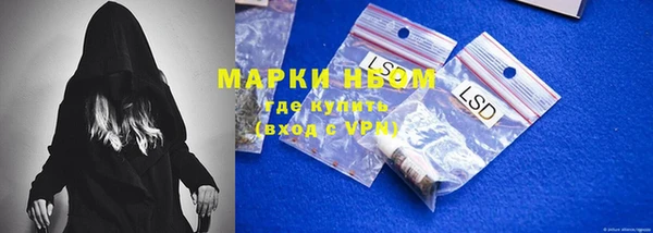 ECSTASY Алзамай