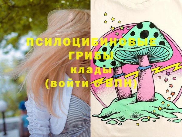 ECSTASY Алзамай