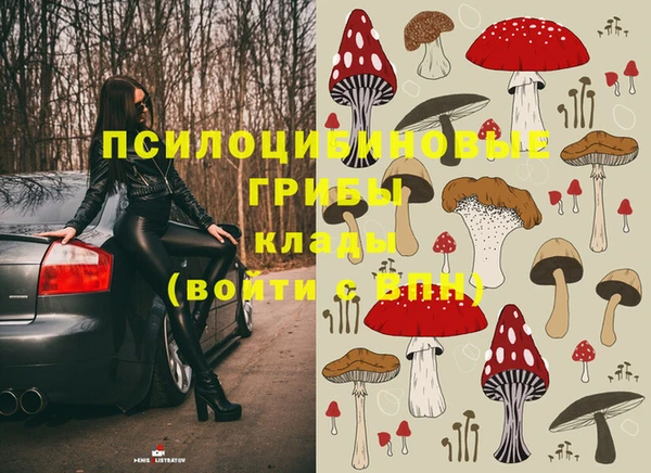кокс Алексин