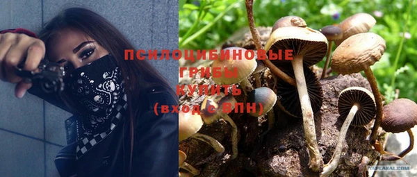 кокс Алексин