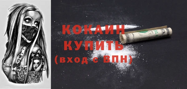 кокс Алексин
