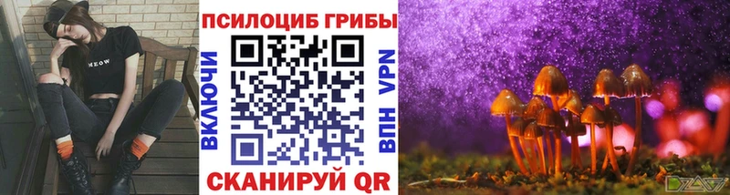 Галлюциногенные грибы Cubensis  KRAKEN вход  Апшеронск 